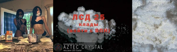 ПСИЛОЦИБИНОВЫЕ ГРИБЫ Абаза