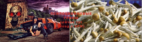 амфетамин Абинск