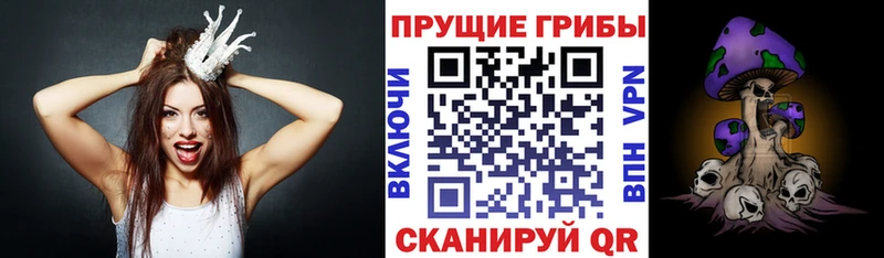 ссылка на мегу как зайти  цены наркотик  Осташков  Галлюциногенные грибы Psilocybine cubensis 
